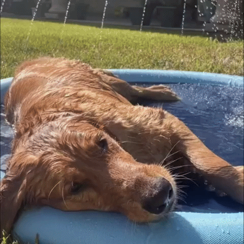 SplashJoy™ Cooling Splash Pad